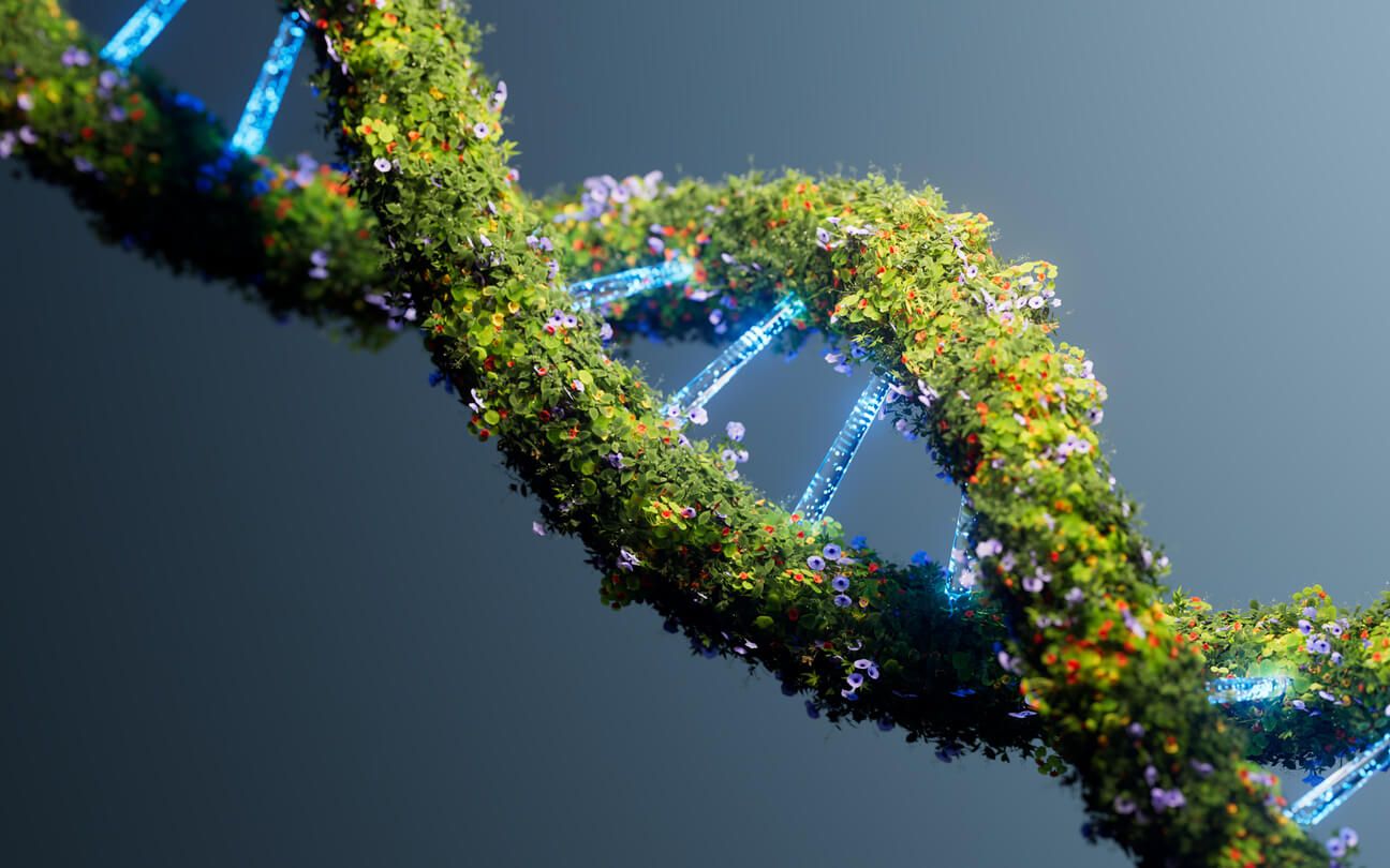 What is Epigenetics? Everything you need to know