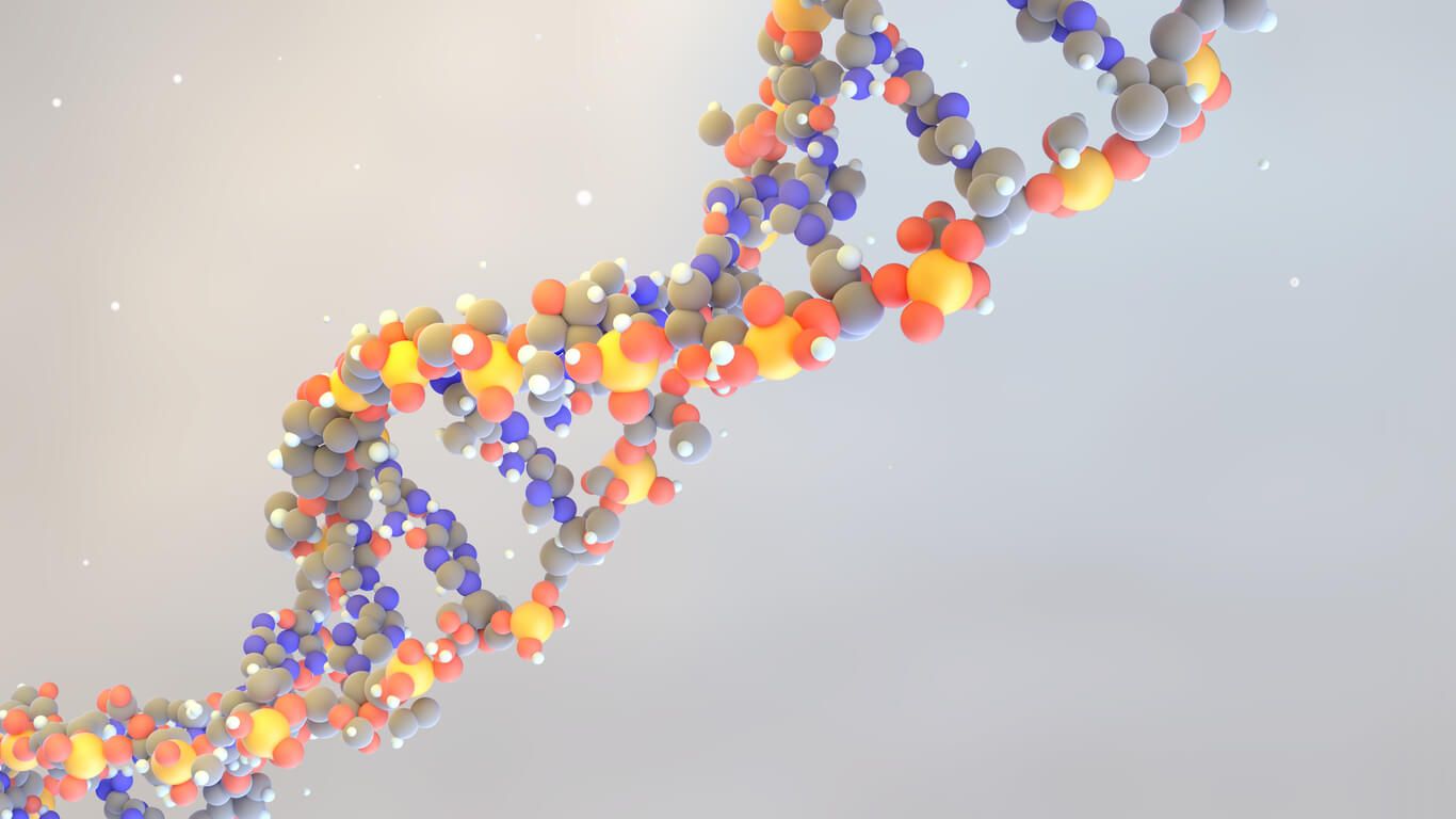 Beginners Guide to The PNPLA5 Gene In Fat Metabolism