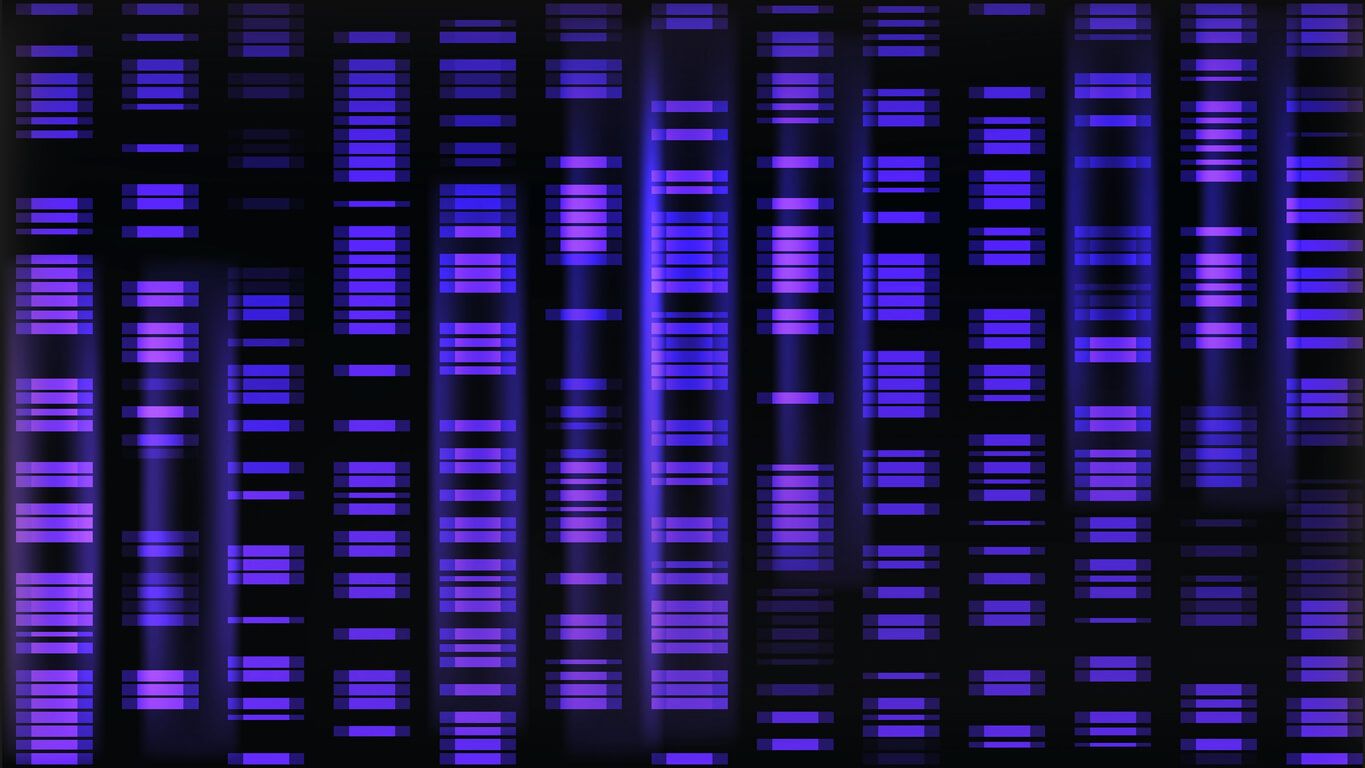 A Beginner's Guide to Understanding the CYP3A5 Gene