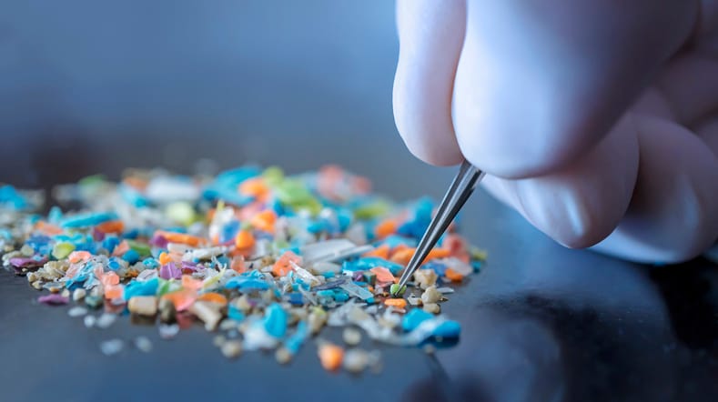 How to Avoid Microplastics Hidden in Your Home