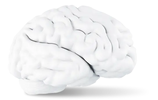 mindwell-brain